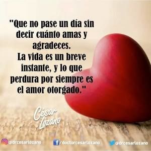 Meet your Posher, San